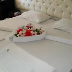 Samoy לינה וארוחת בוקר
