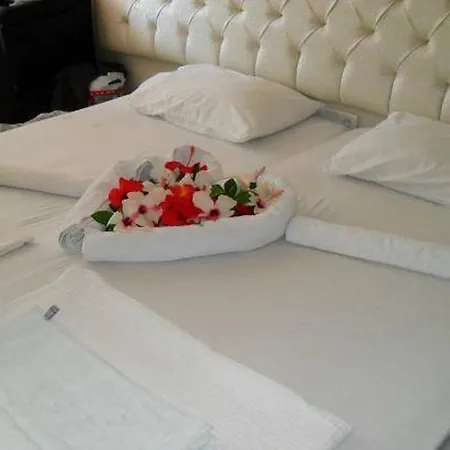 Samoy ベッド・アンド・ブレックファスト