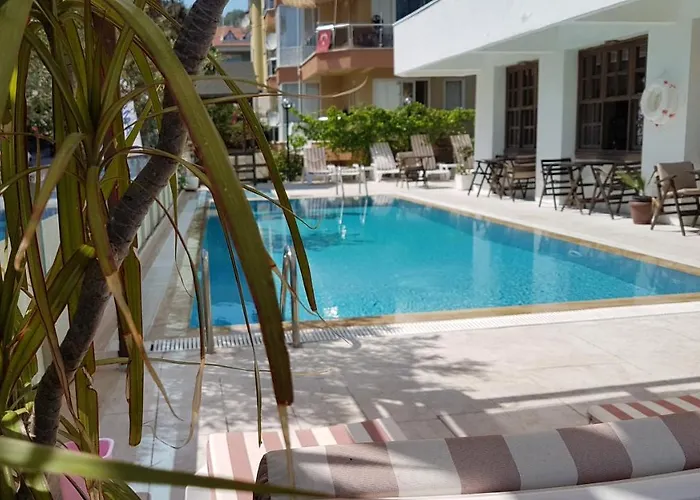 Samoy Bed & Breakfast