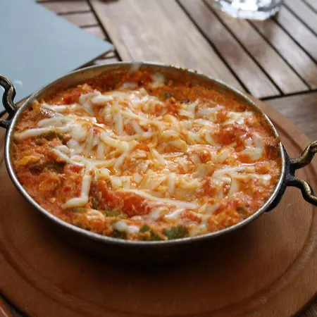 Samoy לינה וארוחת בוקר